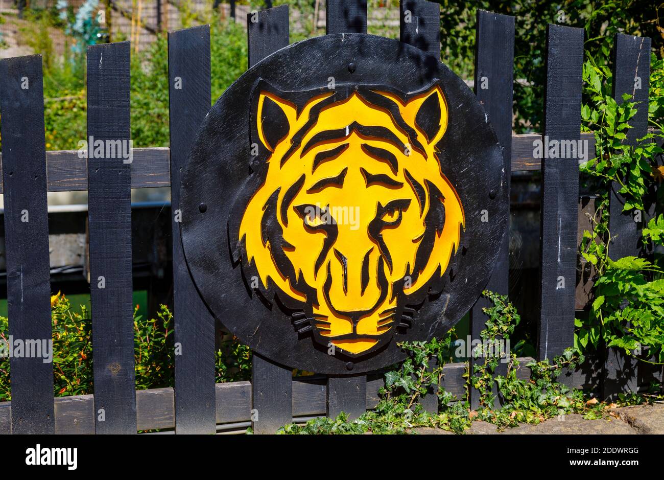 Painted yellow and black wooden tiger head on a fence at Chessington World of Adventures theme park in Chessington, Surrey, south-east England Stock Photo