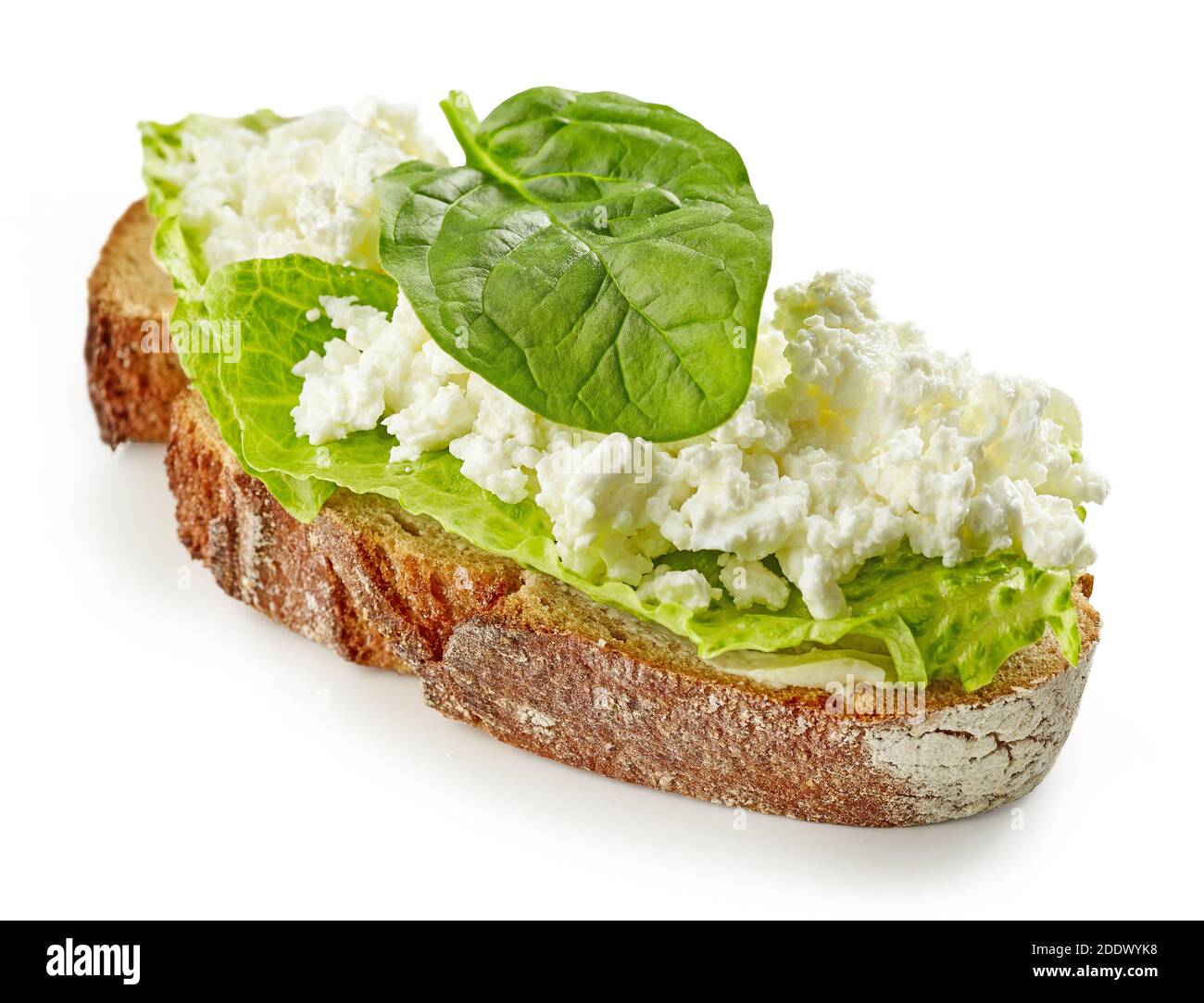breakfast sandwich with cottage cheese isolated on white background ...