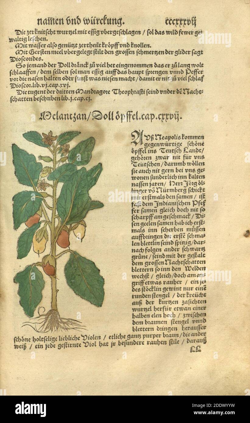 Kreüter Buch, darin Underscheid, Würckung und Namen der Kreüter so in