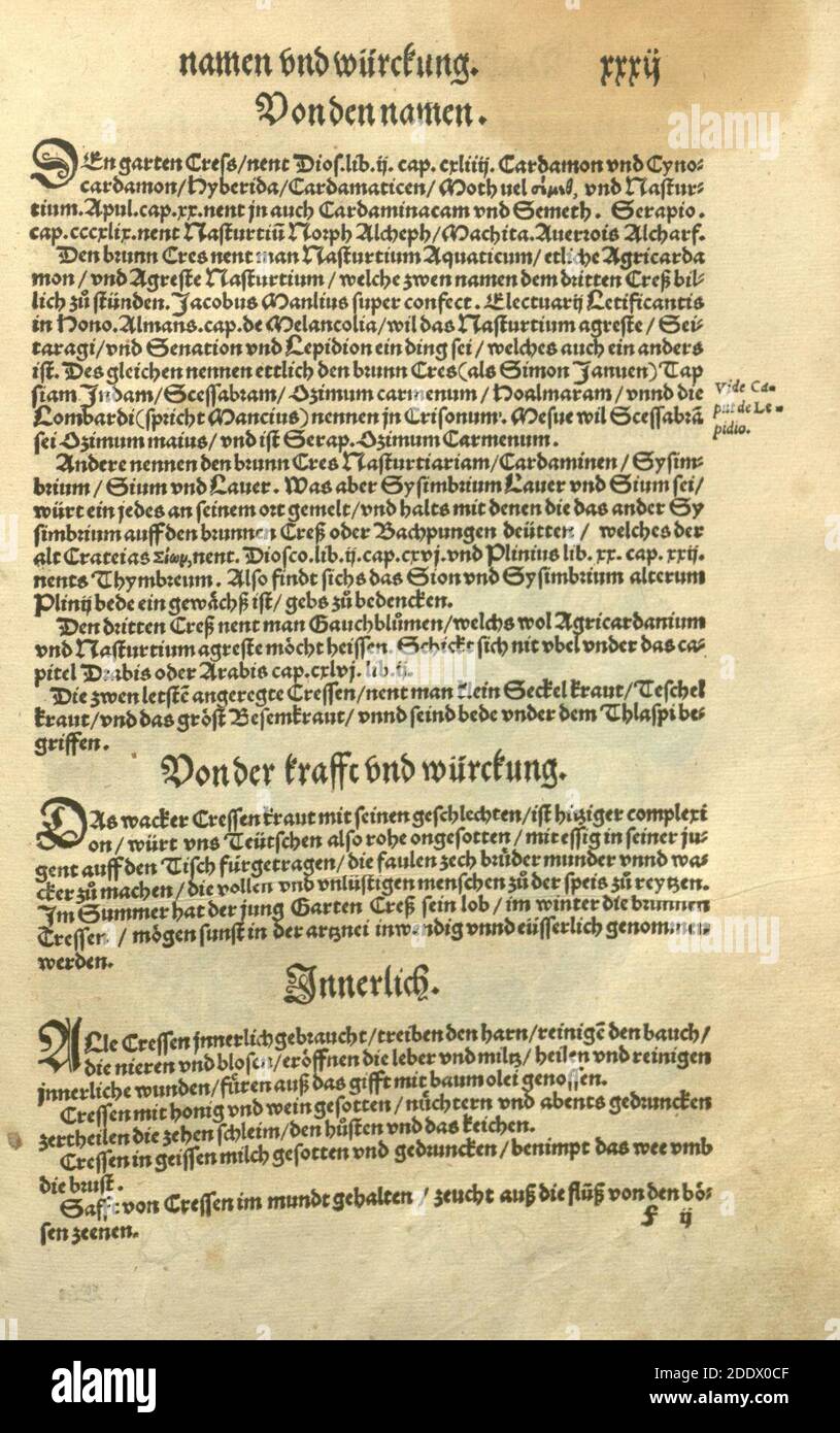 Kreüter Buch, darin Underscheid, Würckung und Namen der Kreüter so in