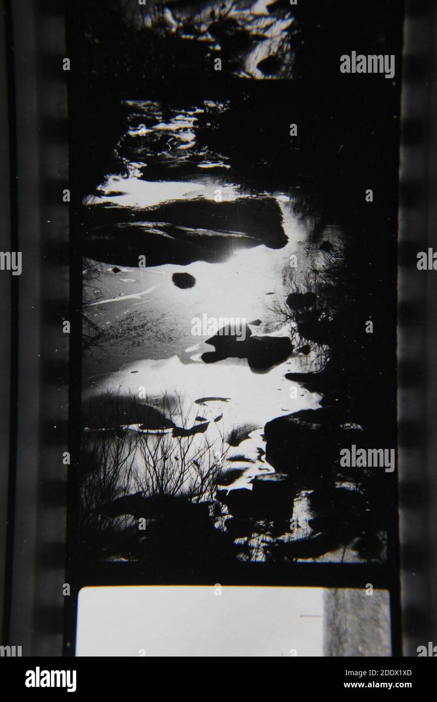Fine 1970s vintage black and white photography of the natural beauty of ...