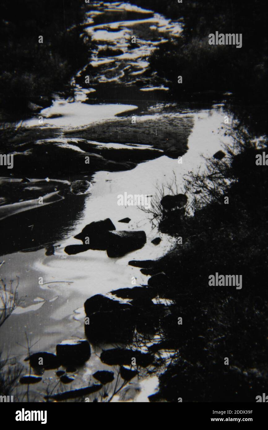 Fine 1970s vintage black and white photography of the natural beauty of ...