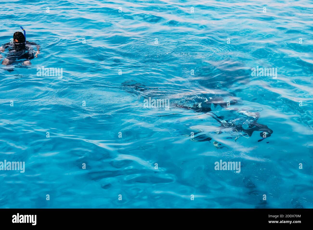 Snorkeling in the tropical sea, diving Stock Photo