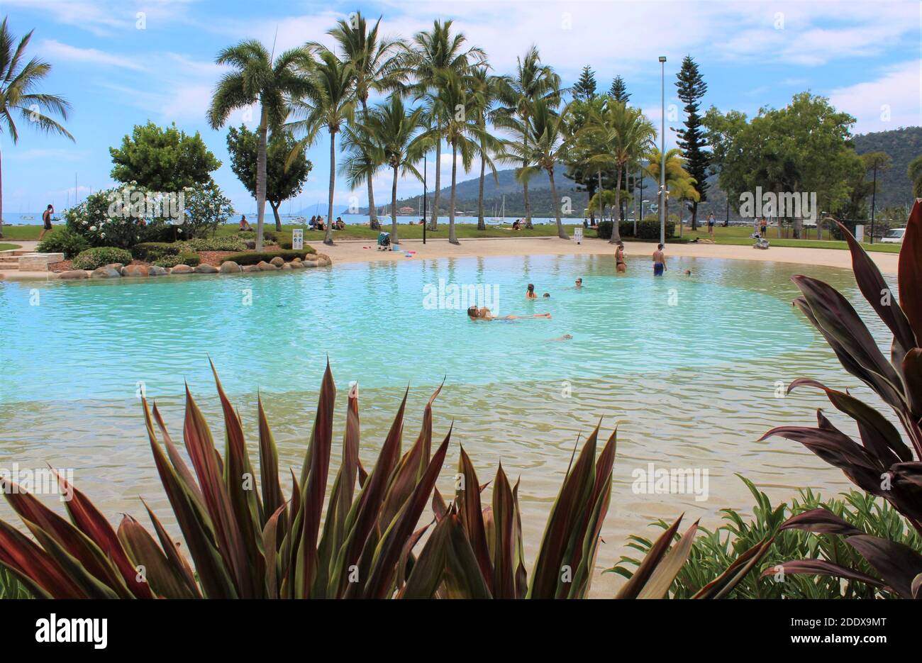 pics Airlie Beach Lagoon Hours https www alamy com airlie beach lagoon at airlie beach whitsunday region of queensland australia image387197016 html