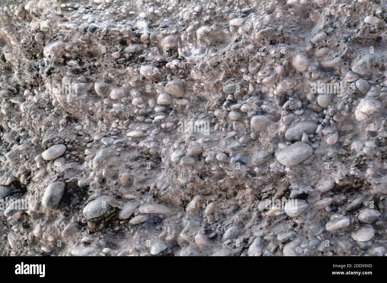 Soil cross section hi-res stock photography and images - Alamy