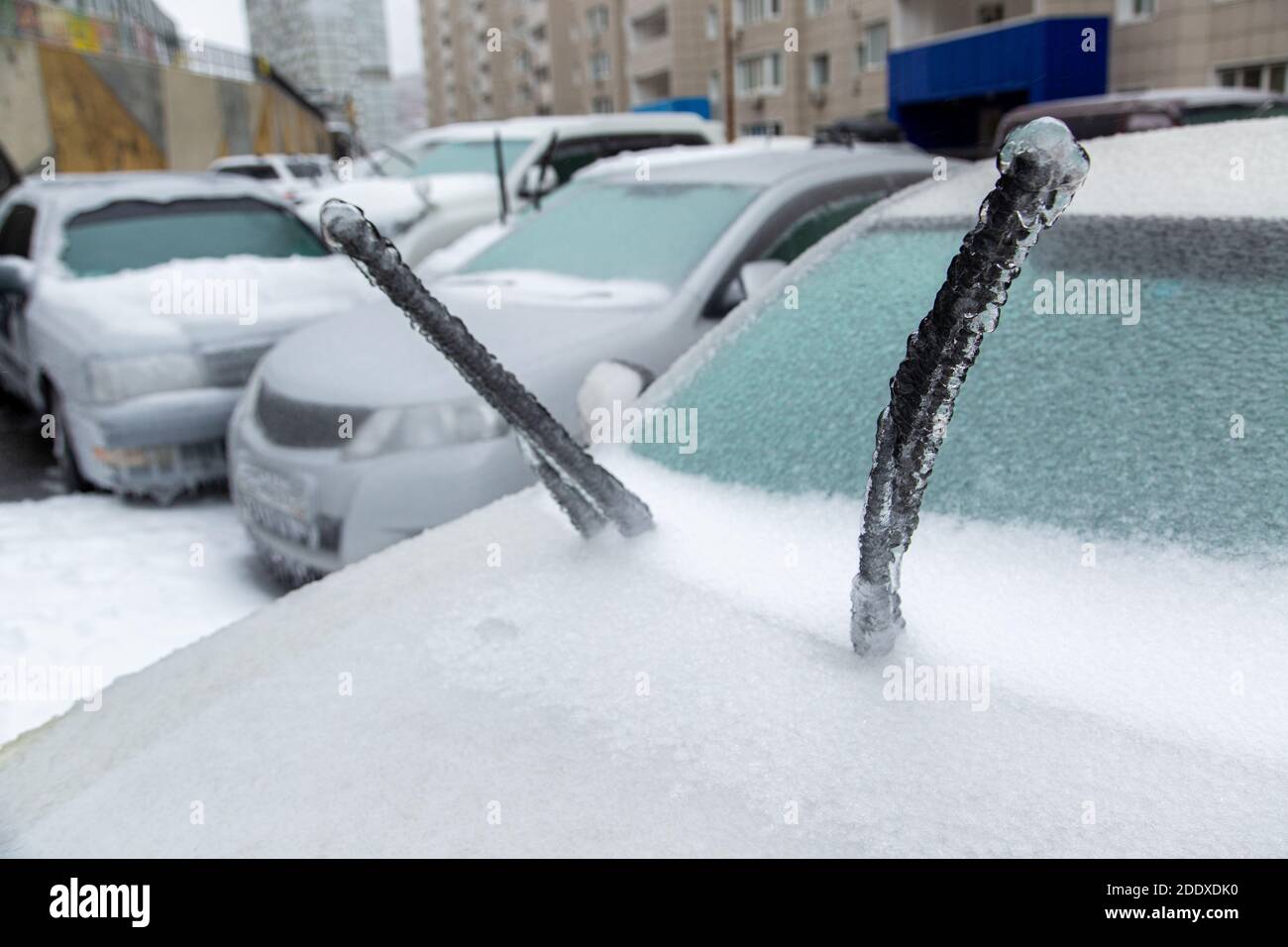 The wipers of a white passenger car are very icy due to wet snow in winter. Blocked by ice. Stock Photo