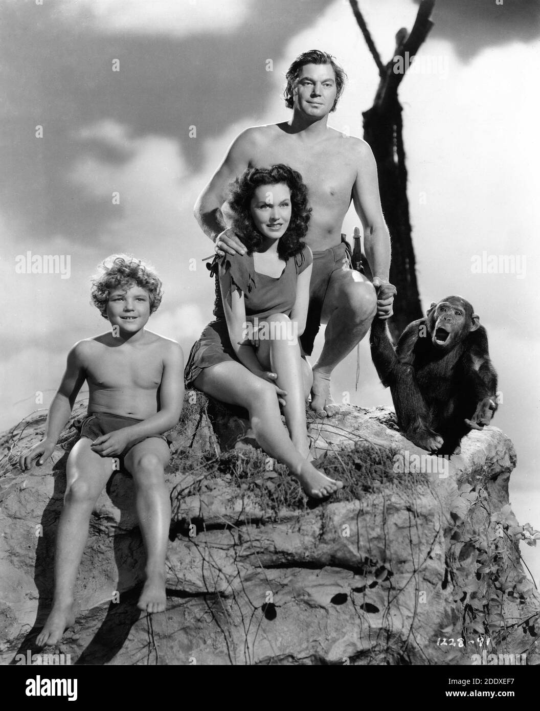 JOHNNY SHEFFIELD MAUREEN O'SULLIVAN JOHNNY WEISSMULLER and