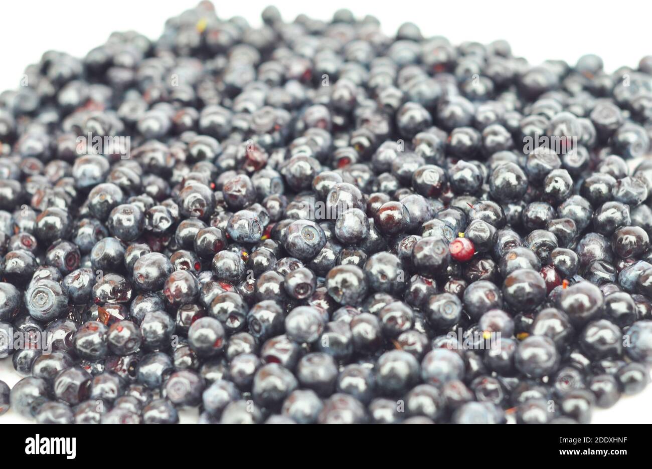 Bilberry Seeds, Bilberry Isolated on White. Bilberries Used for Eye
