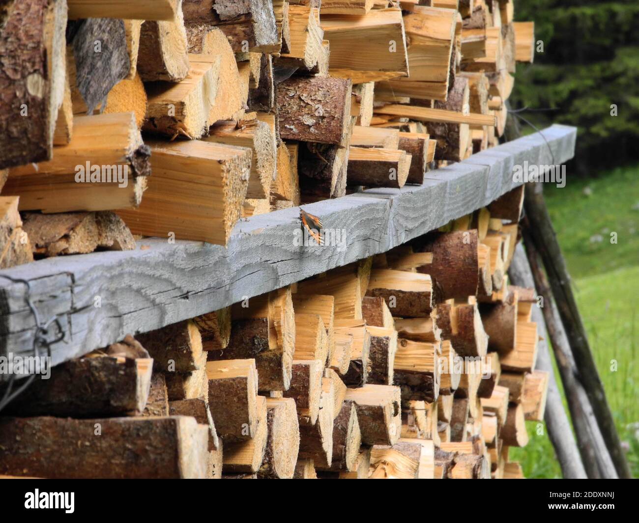 piled up logs or firewood, a renewable energy resource for heating Stock Photo Alamy