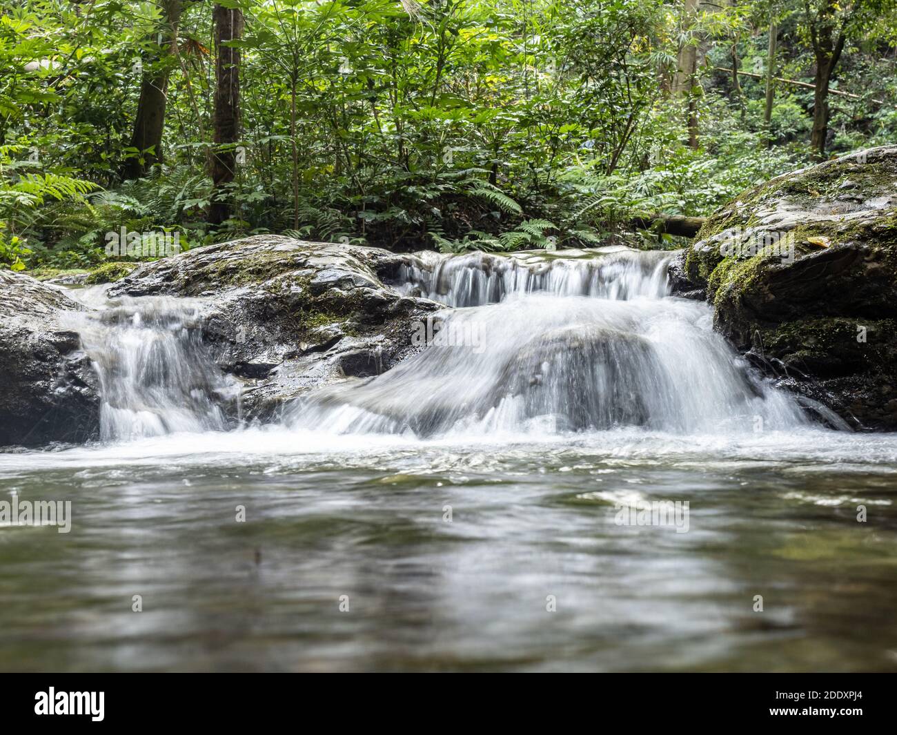 Japanese Rivers Small A small river in Jingashita Keikoku park Yokohama Japan Stock Photo - Alamy