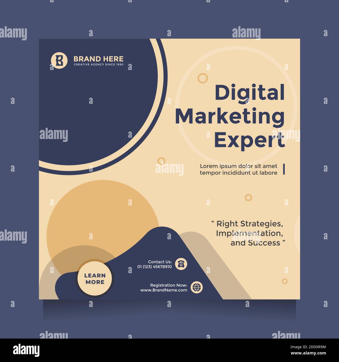 Digital marketing expert social media post design Vector Image