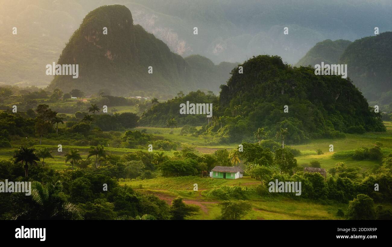 Beautiful sunset view of Mogotes, green fields and plantations in Vinales Valley, Cuba. Sugarloafs dramy landscape. Stock Photo
