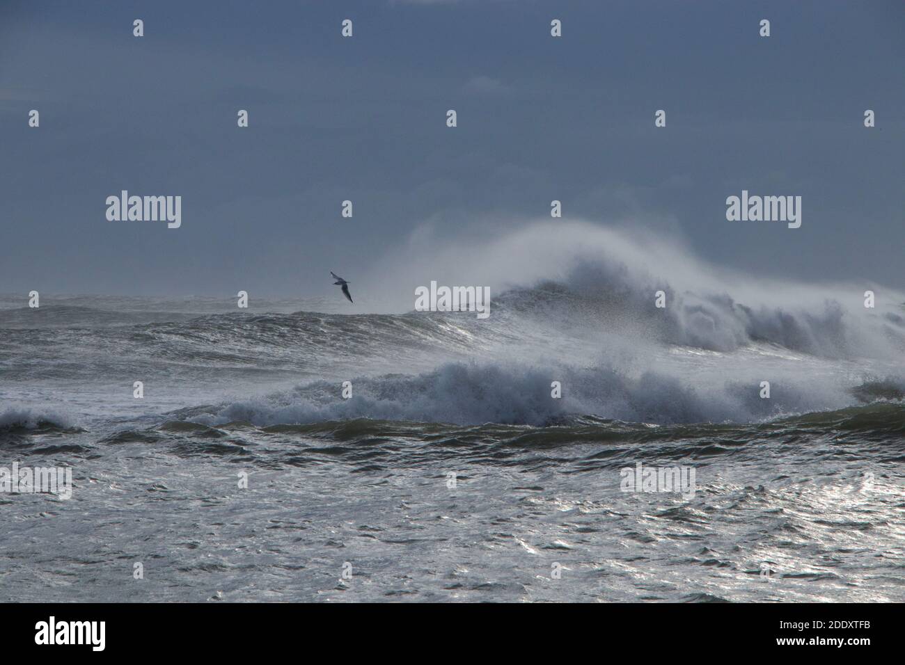 Windy stormy weather hi-res stock photography and images - Alamy