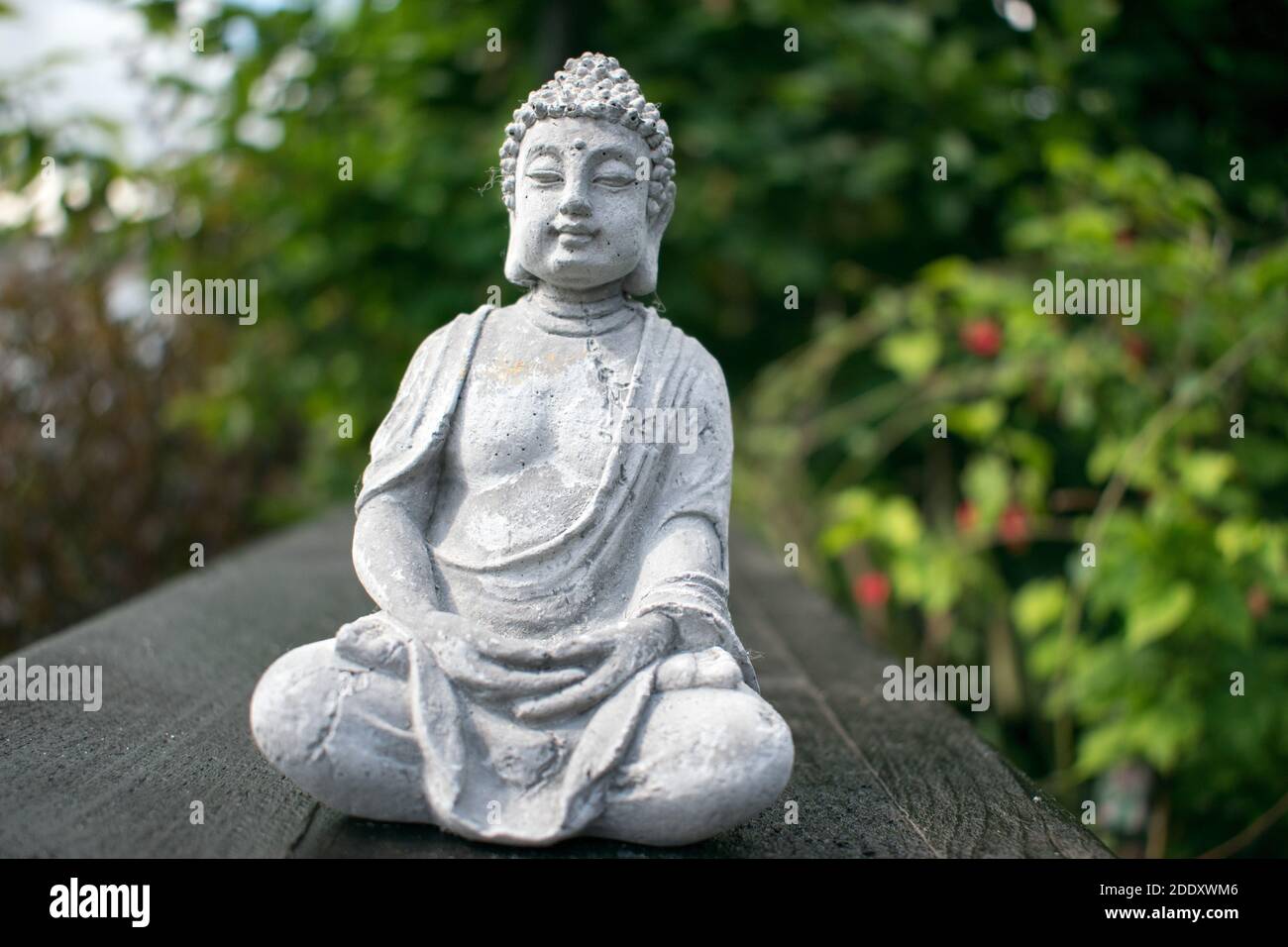 Statue of buddha in a garden hi-res stock photography and images - Alamy