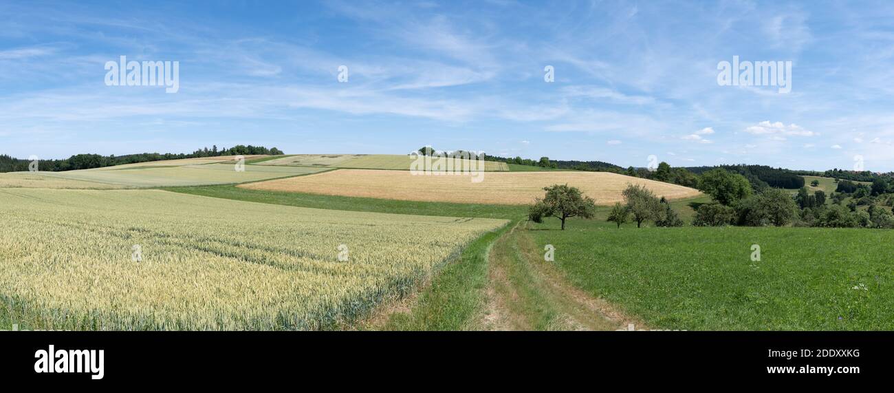 Rural panoramic summer landscape with fields and meadows Stock Photo ...