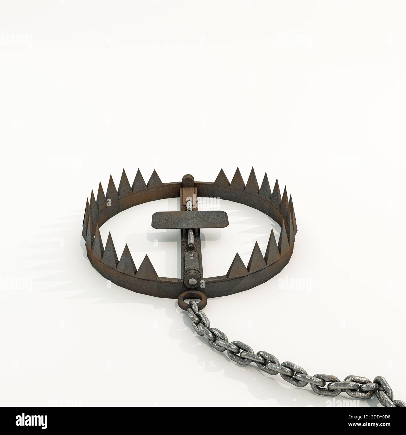 A metal animal trap that is open attached to the ground with a metal chain  on an isolated background Stock Photo - Alamy