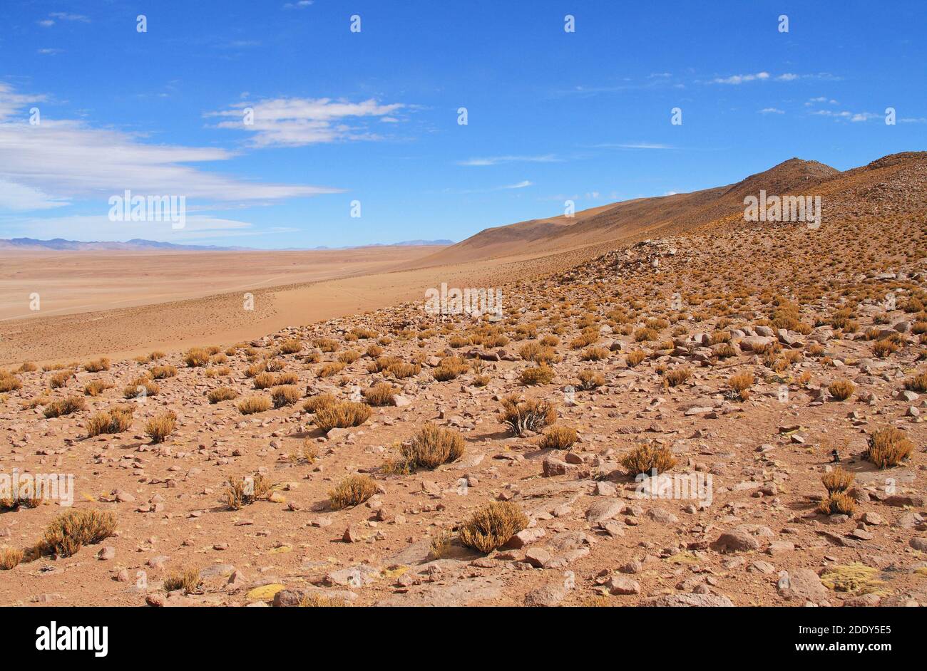The high Atacama Desert near Salar del Huasco salt lake, Andes Mountains, Tarapaca Province, northern Chile Stock Photo