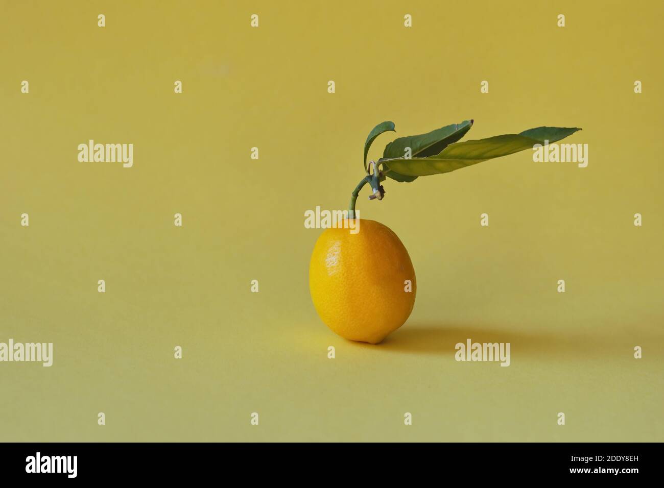 Isolated lemon on yellow background Stock Photo