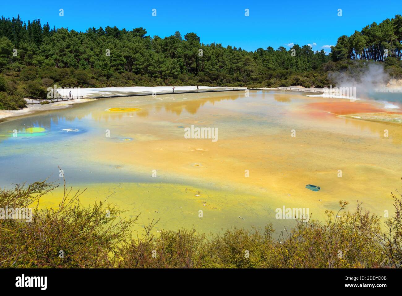 The beautiful colors of Waiotapu Geothermal Park, a tourist attraction in New Zealand Stock Photo