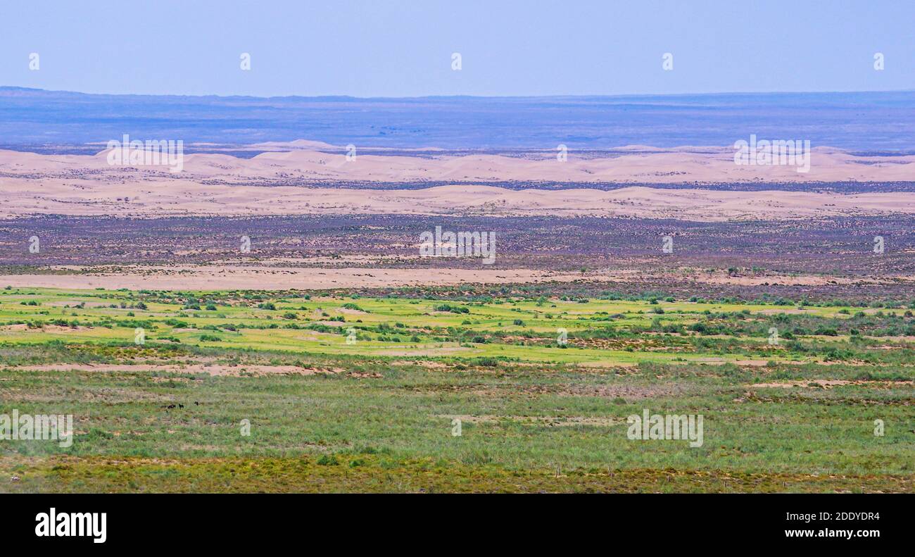 Grassland and desert Stock Photo Alamy