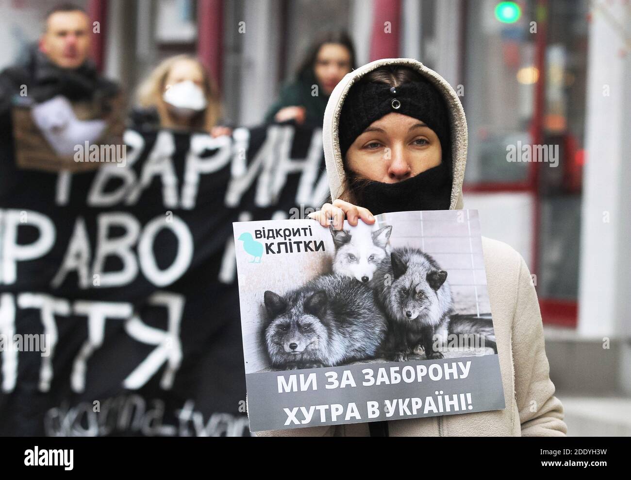 An anti-fur activist holds a placard reading 'We are for the ban of fur in Ukraine!' as she participates in Fur Free Friday protest during Black Friday in downtown of Kiev, Ukraine. Animal rights activists protested near Ukrainian capital's fur shops to draw attention to the brutality of the fur industry calling to abandon the purchase of fur products during Black Friday sales. The killing of minks in Denmark due to coronavirus may allow an increase in the export of fur from Ukraine and increase products of Ukrainian mink farms in the world fur market up to 10% from the current 1%, as the Asso Stock Photo
