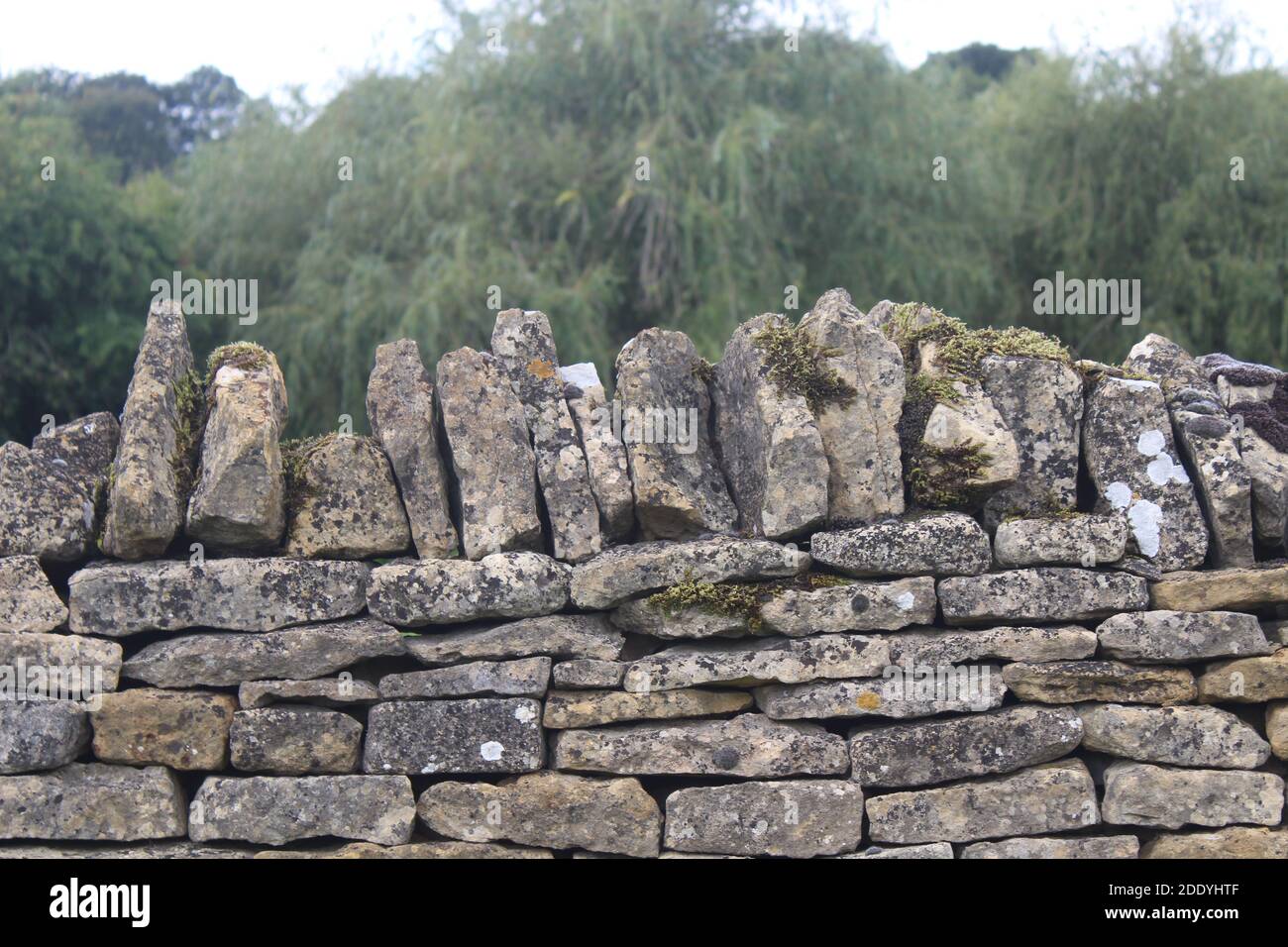 traditional Cotswold dry stone walls in Bourton on the hill Stock Photo