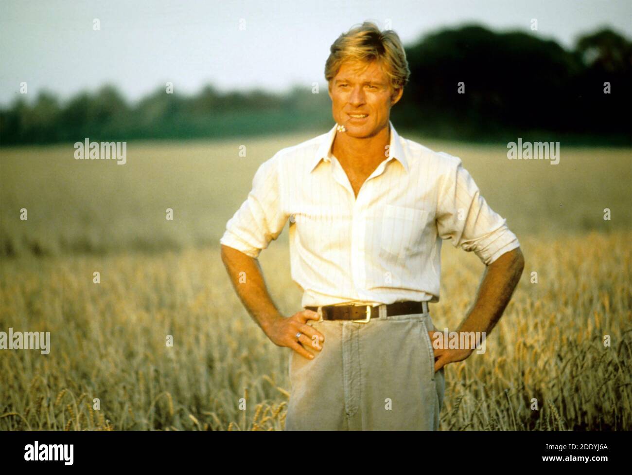 THE NATURAL 1984 TriStar Pictures film with Robert Redford Stock Photo