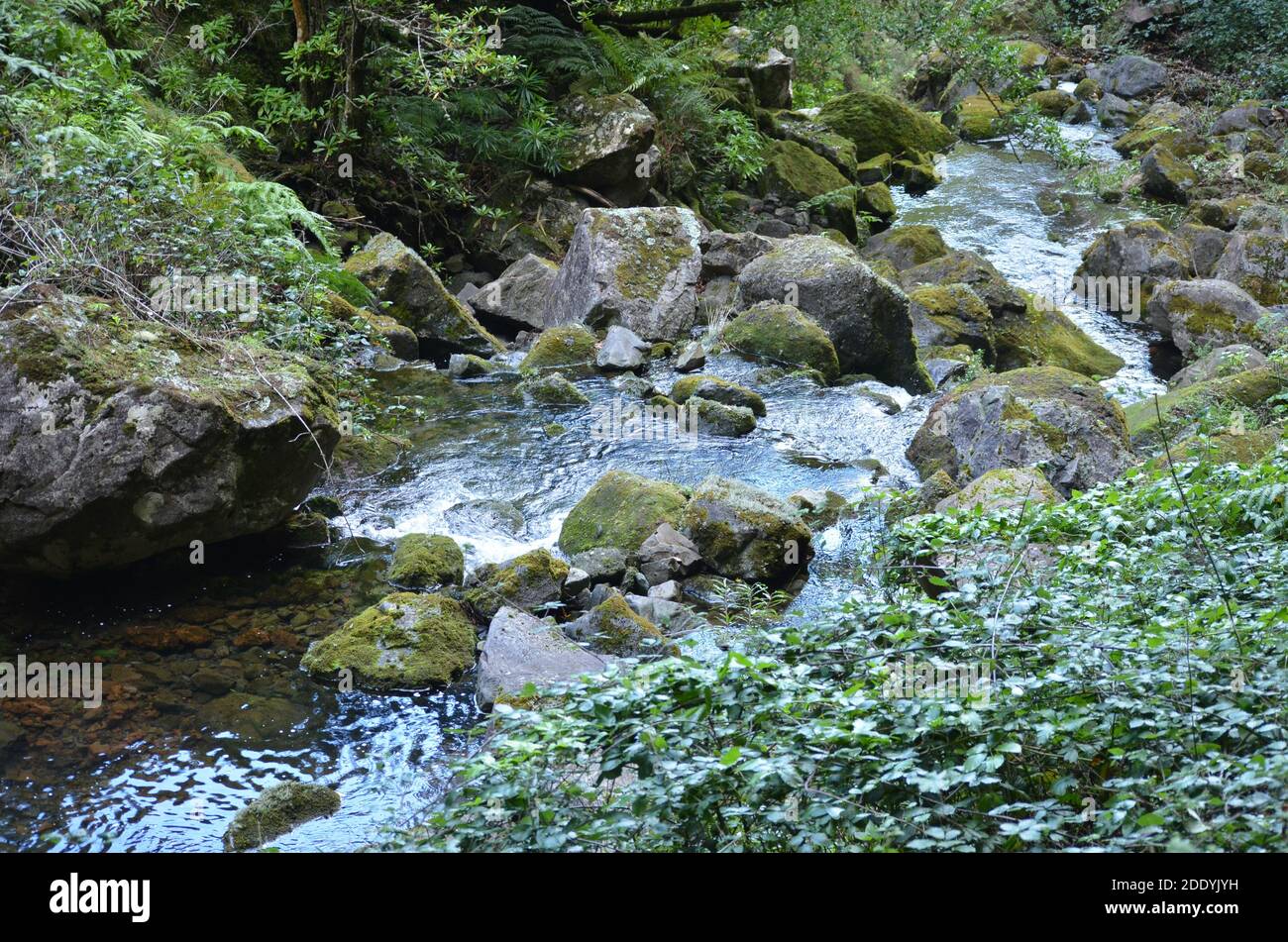 Pristine water sources hi-res stock photography and images - Alamy