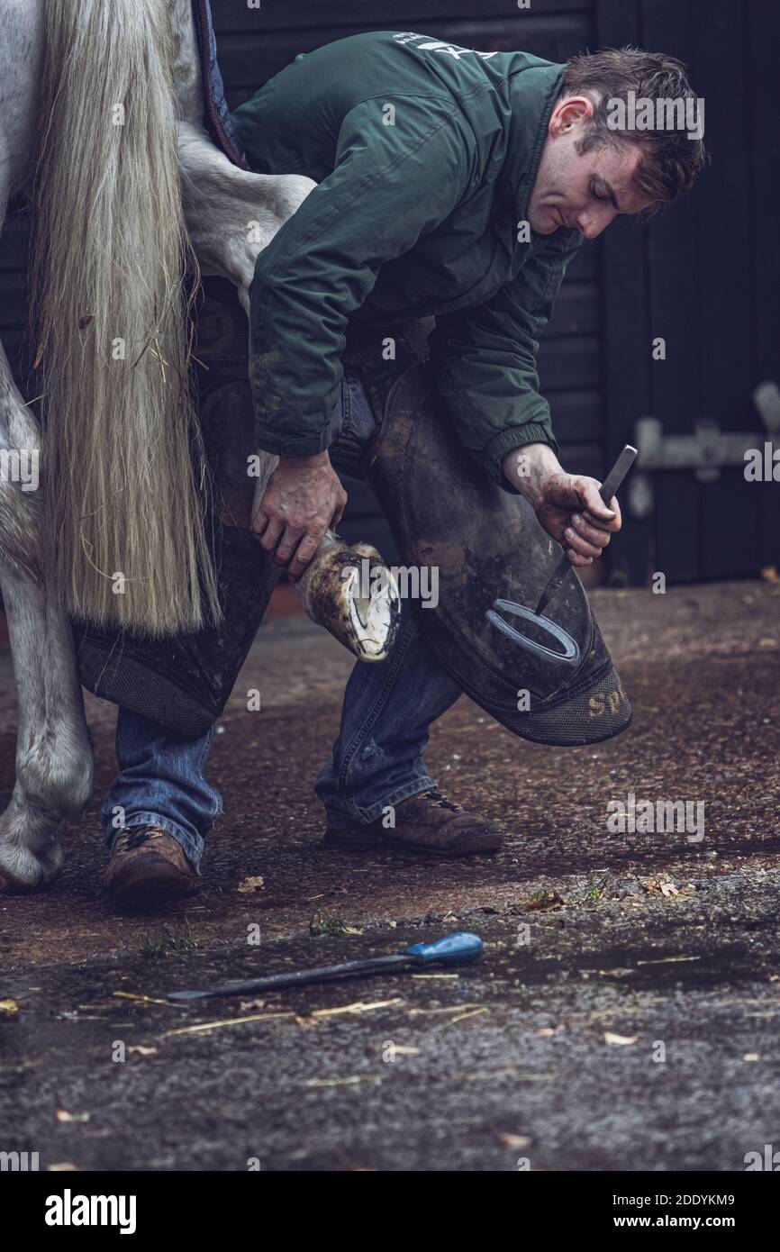 Farrier at work Stock Photo Alamy