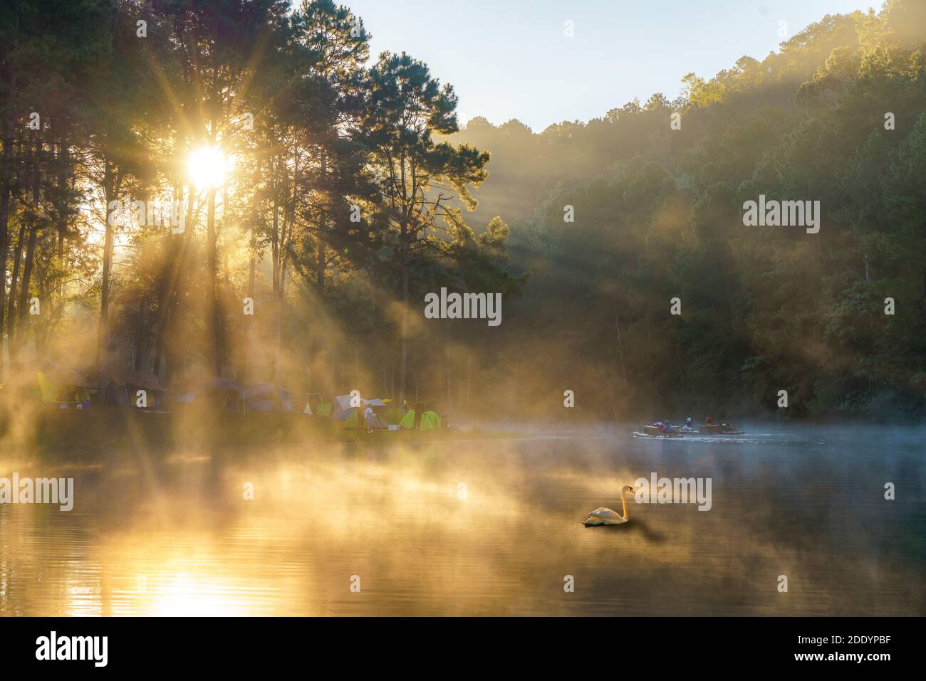 Morning Day in Pang Ung Lake, Tourist famous place where people come to vacation in the winter in Mae Hong Son near Chaing Mai, North of Thailand Stock Photo