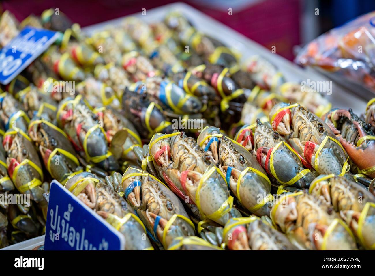 Live Fresh Crab in the fresh Asia market for sale. Large Amounts of Non-English (Thai) Text = 'Crab Meat'. Stock Photo