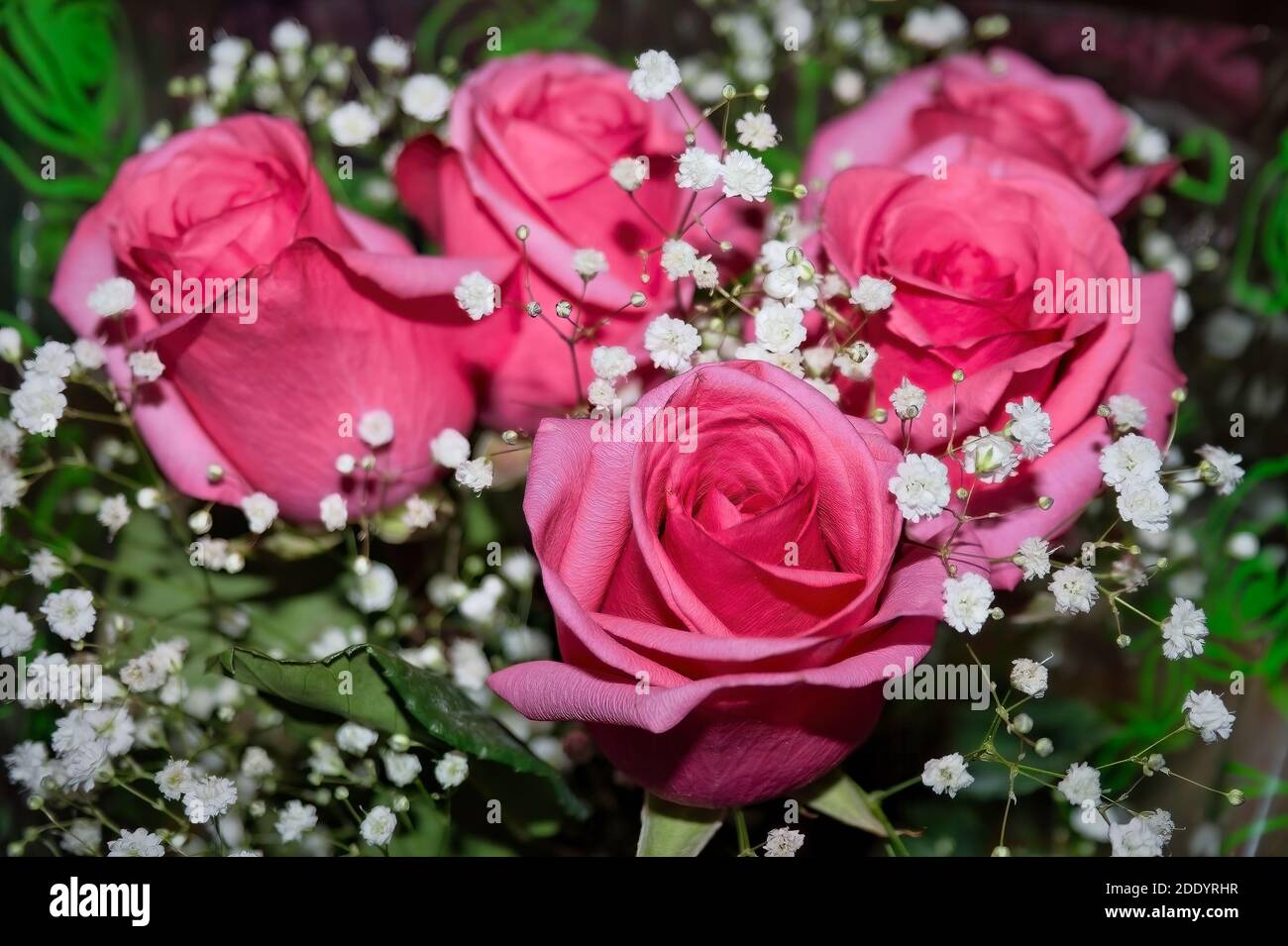 Pink roses floral background. Beautiful bouquet of blooming long stem ...