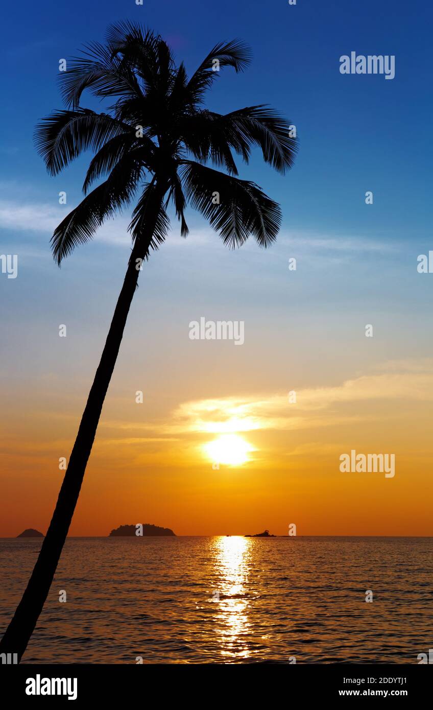 Palm tree silhouette at sunset, Chang island, Thailand Stock Photo
