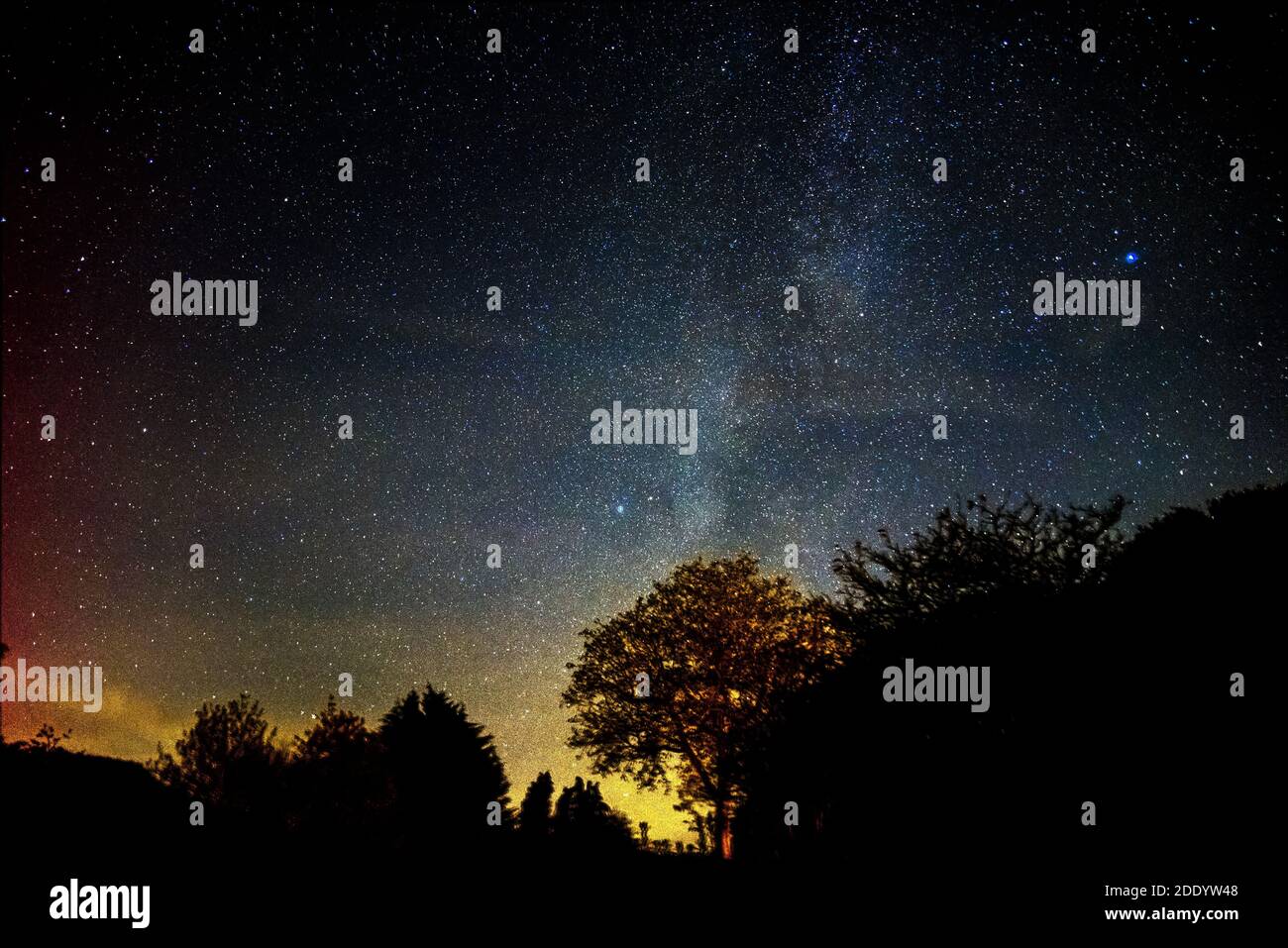 Starscape / star field - Milky Way and Stars, Night Sky and Tree Silhouette Skyline, Southern England, UK Stock Photo