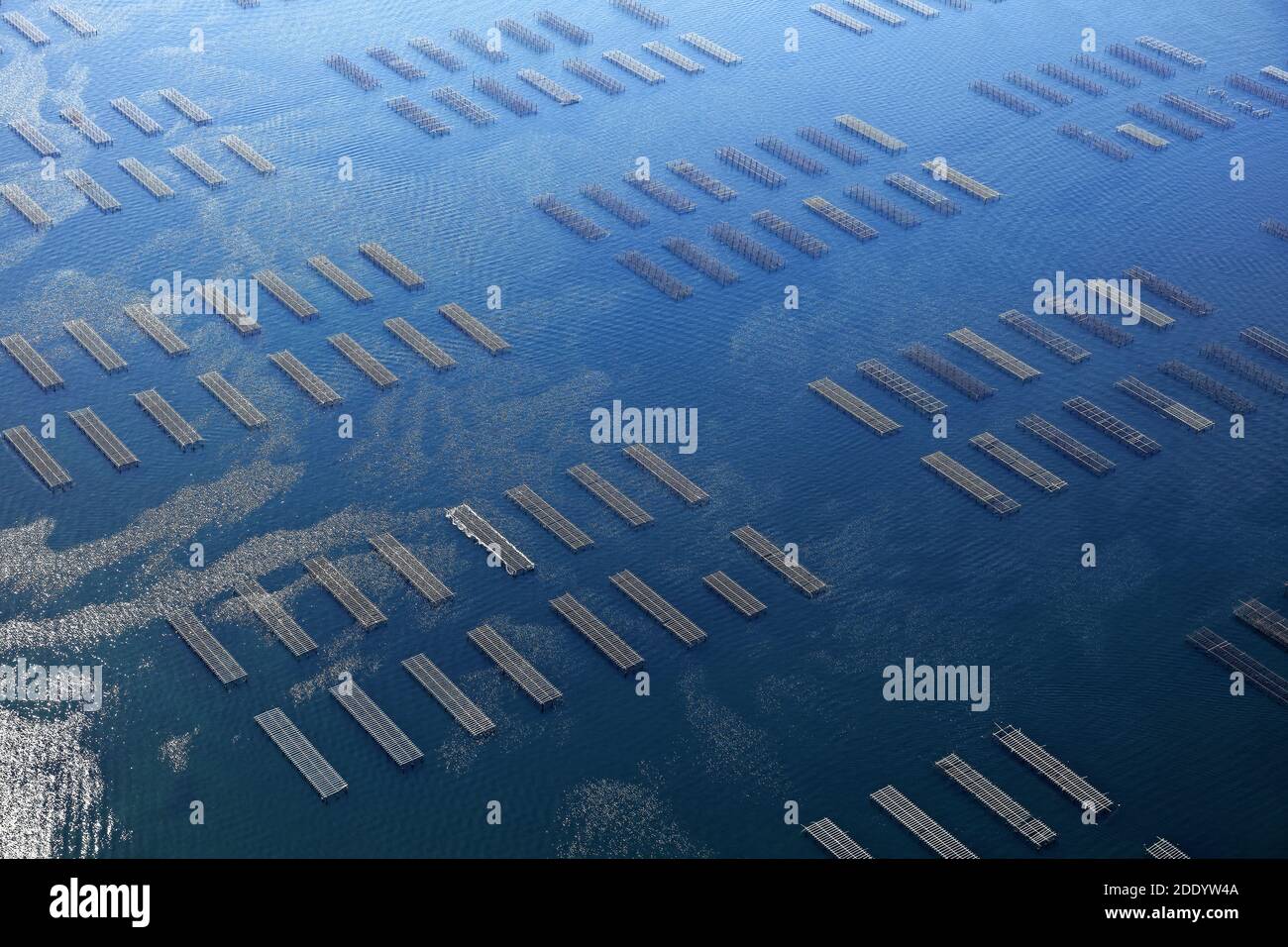 Herault department (south-eastern France): aerial view of the Pond of Thau and its oyster beds. Stock Photo