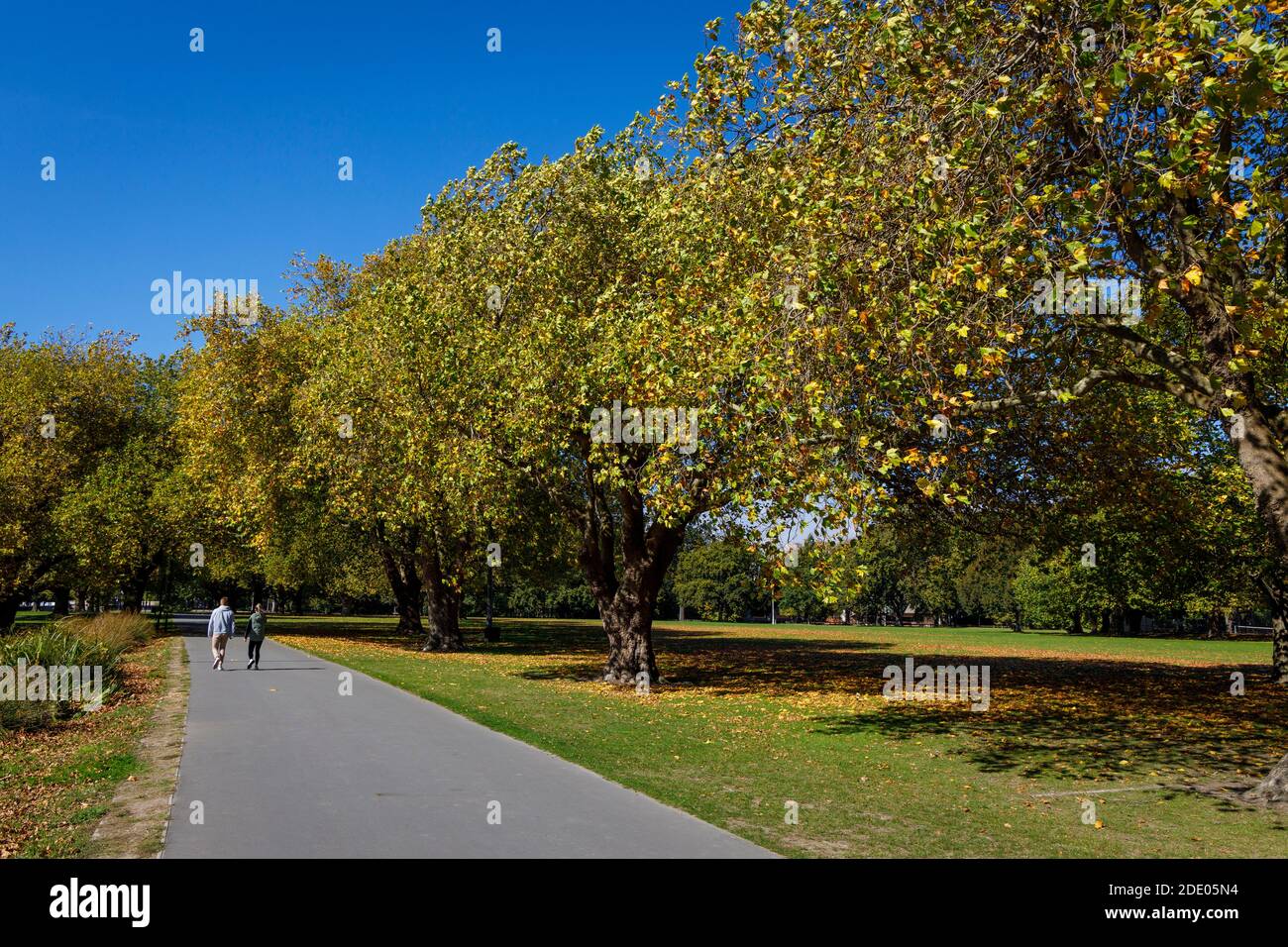 Hagley Park, Christchurch, New Zealand. A couple walking along the footpath beside the autumnal leafed trees. Stock Photo
