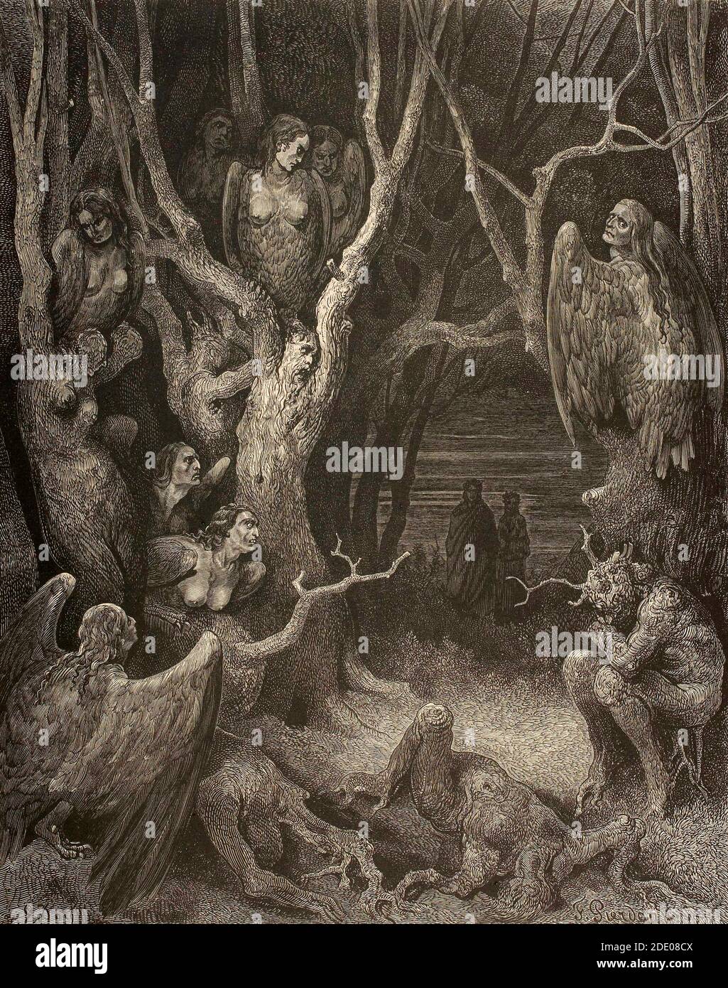 Dante Divina Commedia - Hell -  XIII Canto  - La selva dei suicidi - VII Circle - illustration by Gustave Dorè Stock Photo