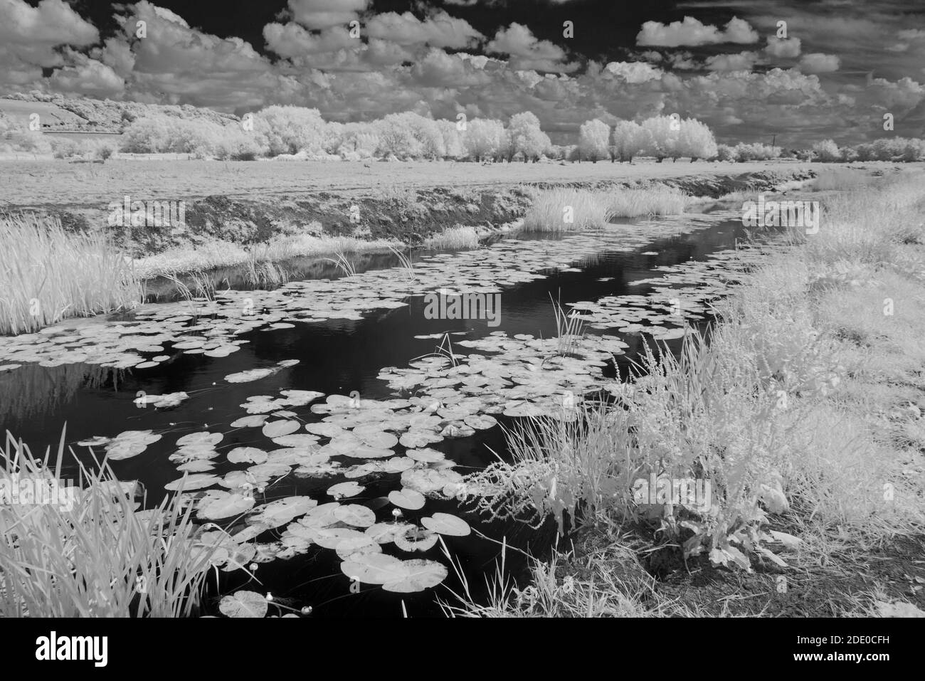 Infrared picture looking out across Aller Moor and Middle Moor on the Somerset Levels with Sowey River in the foreground, on a summers day. Stock Photo