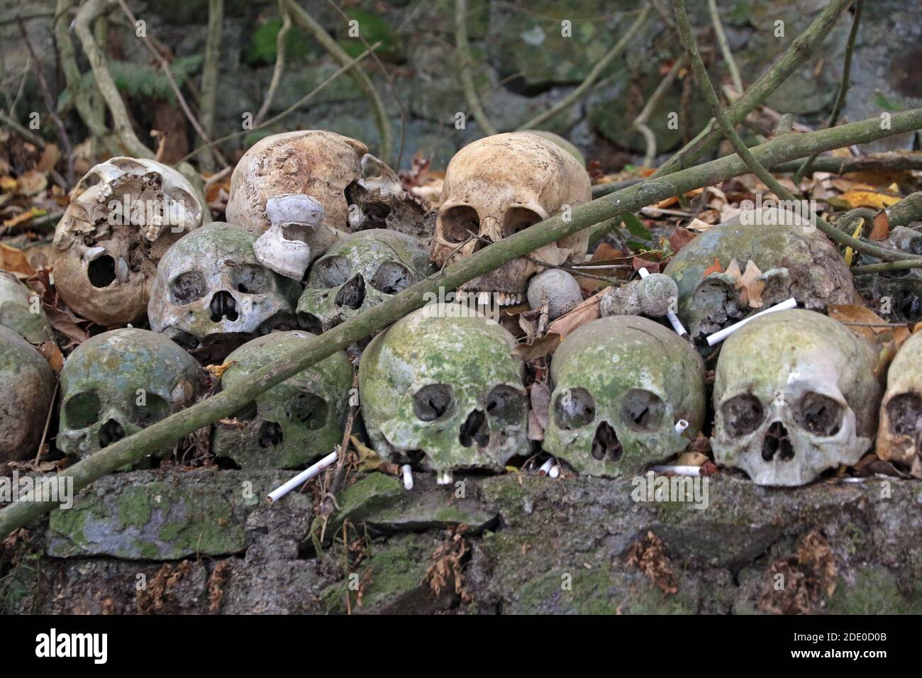 Skulls in cemetery in Trunyan village, Lake Batur, Bali, Indonesia Stock Photo