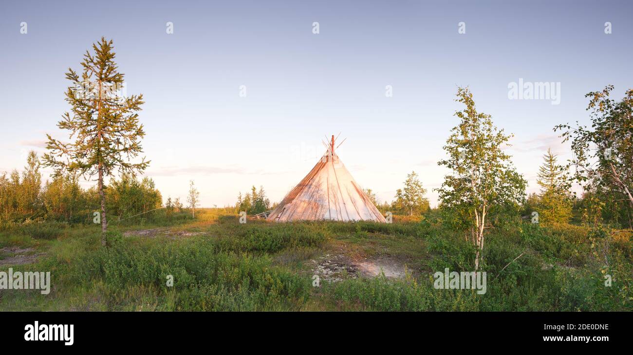 Chum tent in tundra in north Russia, Yamal Stock Photo