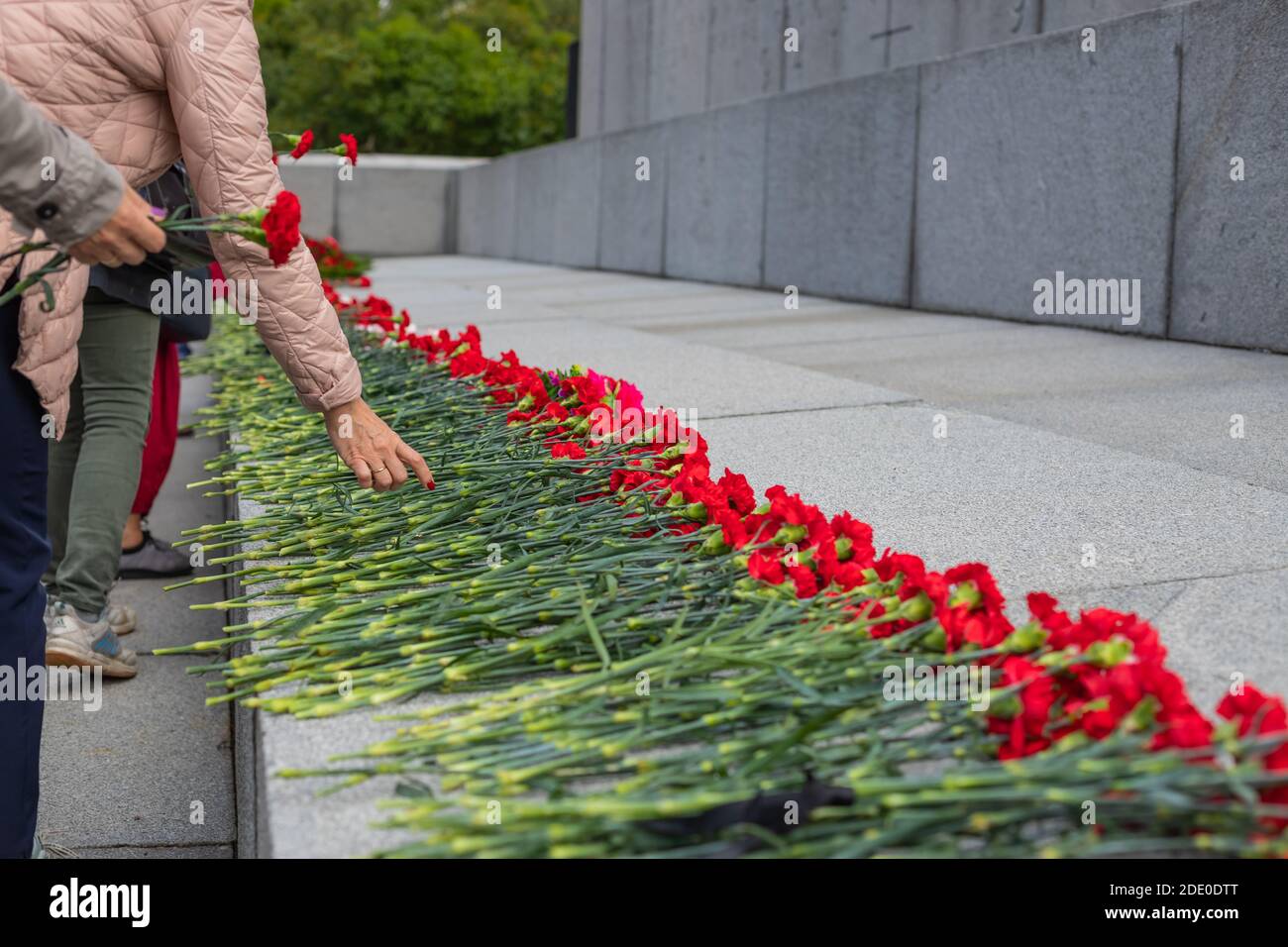 Laying a red carnation in memory of the dead. Hand close up Stock Photo