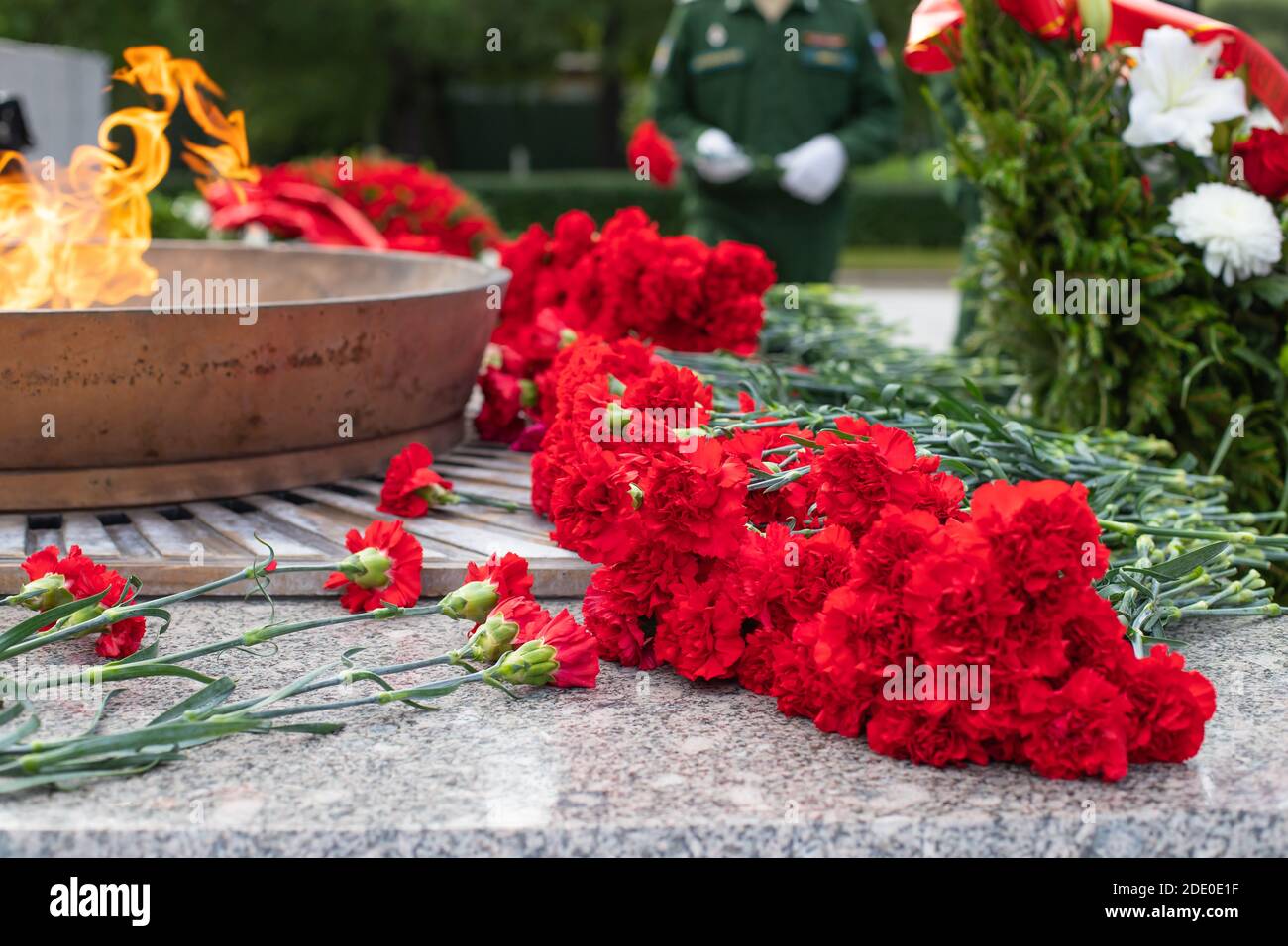 Laying a red carnation in memory of the dead. Hand close up Stock Photo