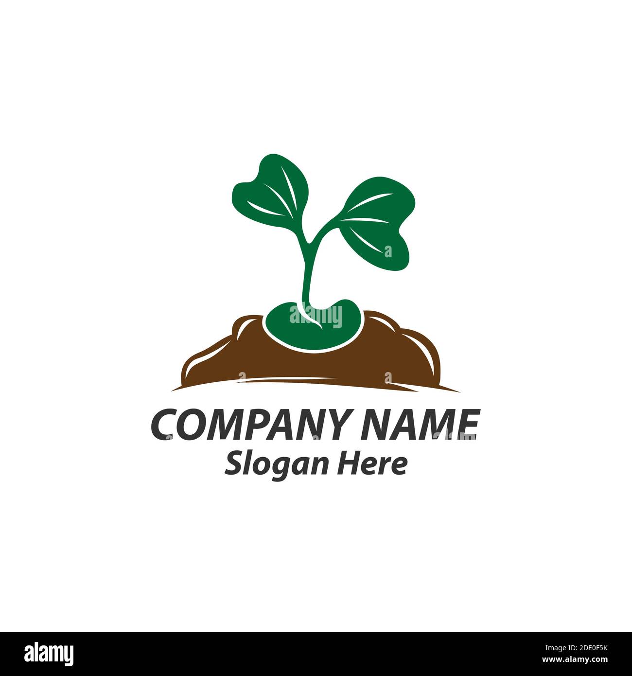 seed plant vector