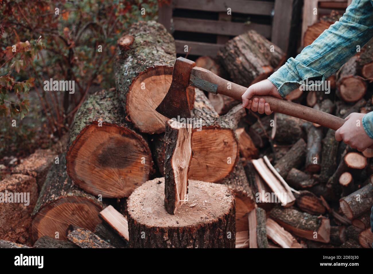 Man in green checkered shirt prepare to chopping Stock Photo