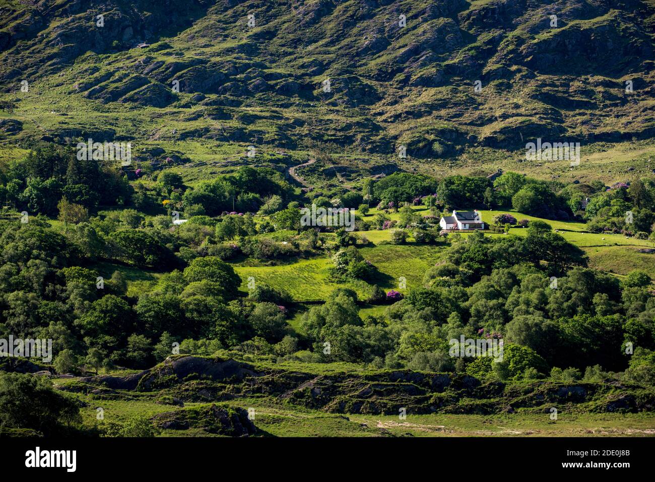Isolated Farmhouse Caha Mountains, Beara Peninsula, Kerry Cork Ireland Stock Photo