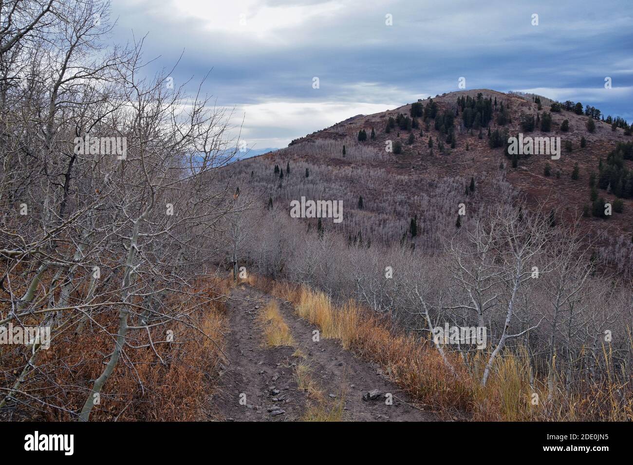 Provo Peak hiking trail mountain landscape scenic view, towards Slide Canyon, Slate Canyon Rock Canyon and Squaw Peak Road, Wasatch Rocky mountain Ran Stock Photo