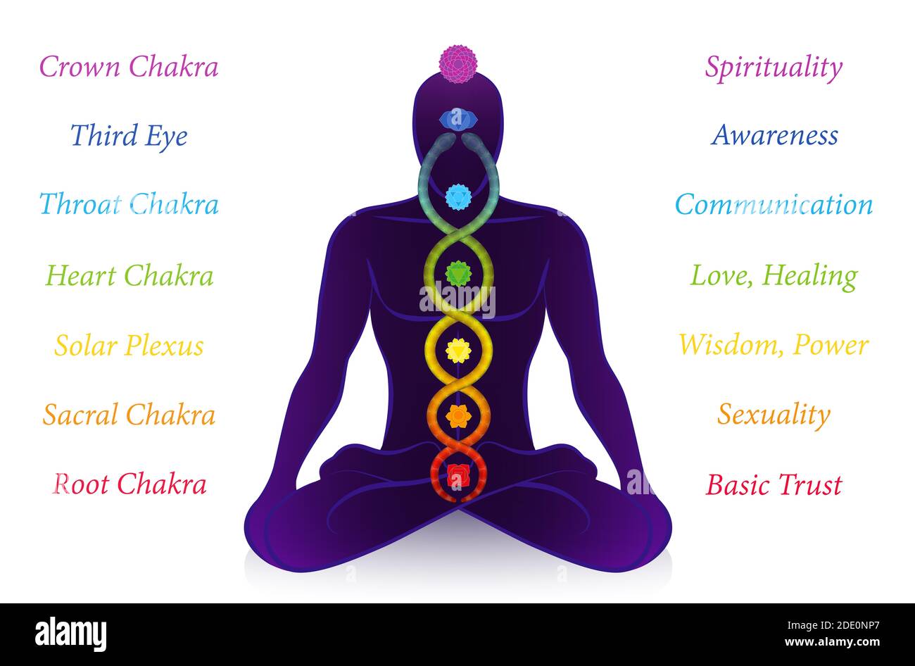 Chakras and Kundalini serpent with names and meanings meditating man