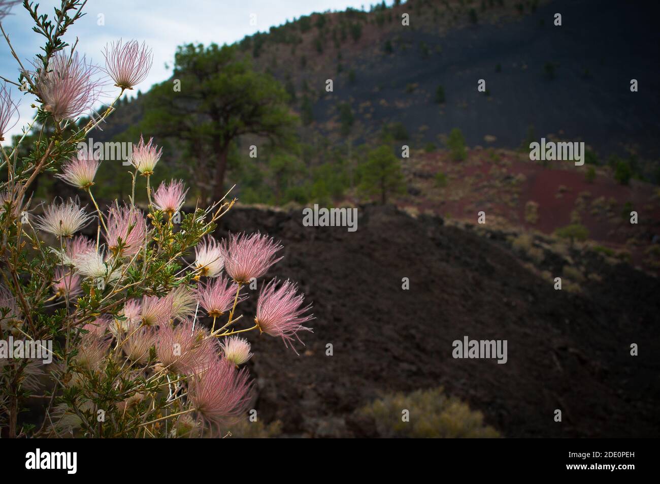 Sunset Crater is the youngest in a string of volcanoes that is related to the nearby San Francisco Peaks. Stock Photo