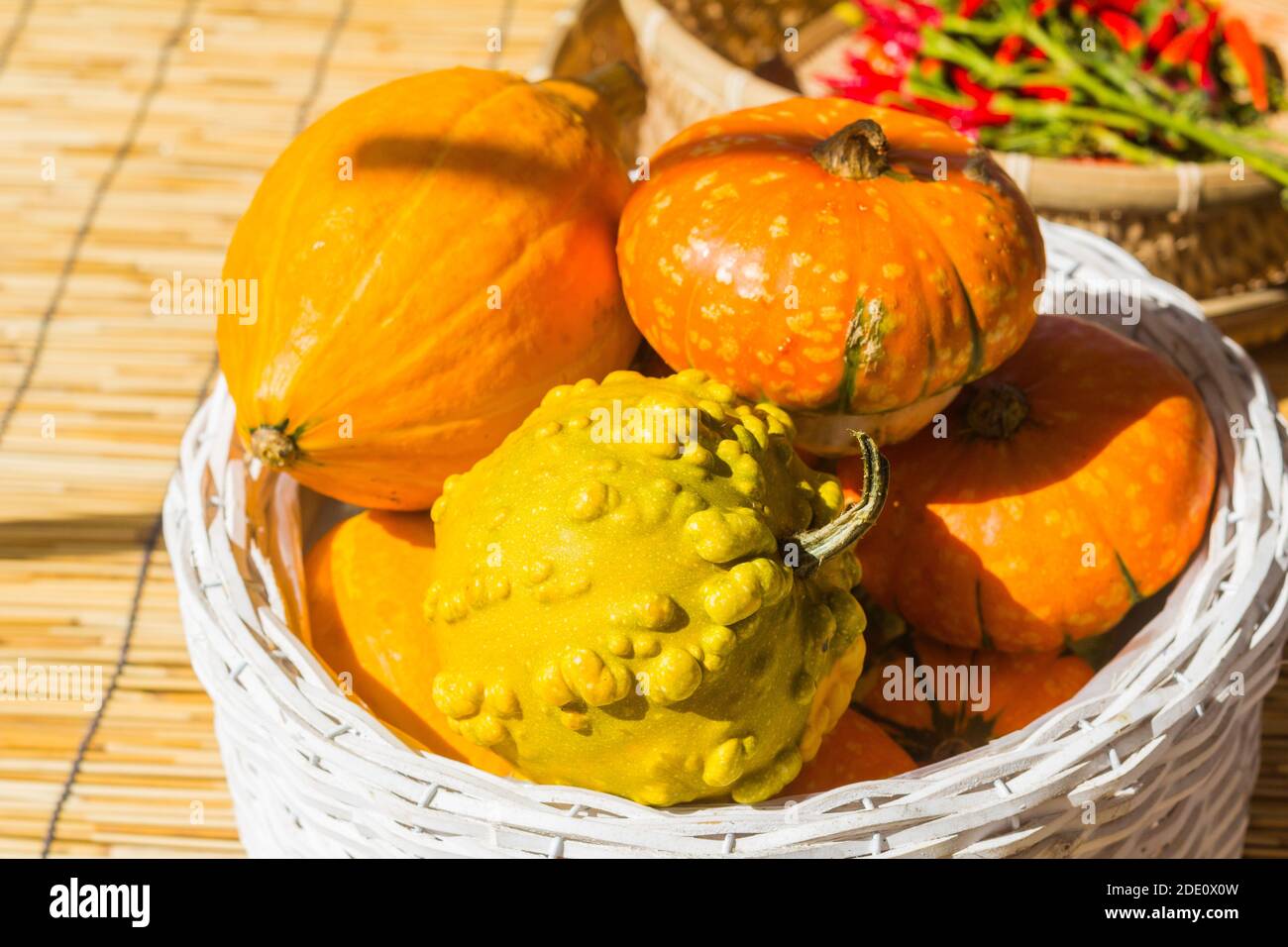 Different kinds of squash at a street side market in Takayam, Japan Stock Photo