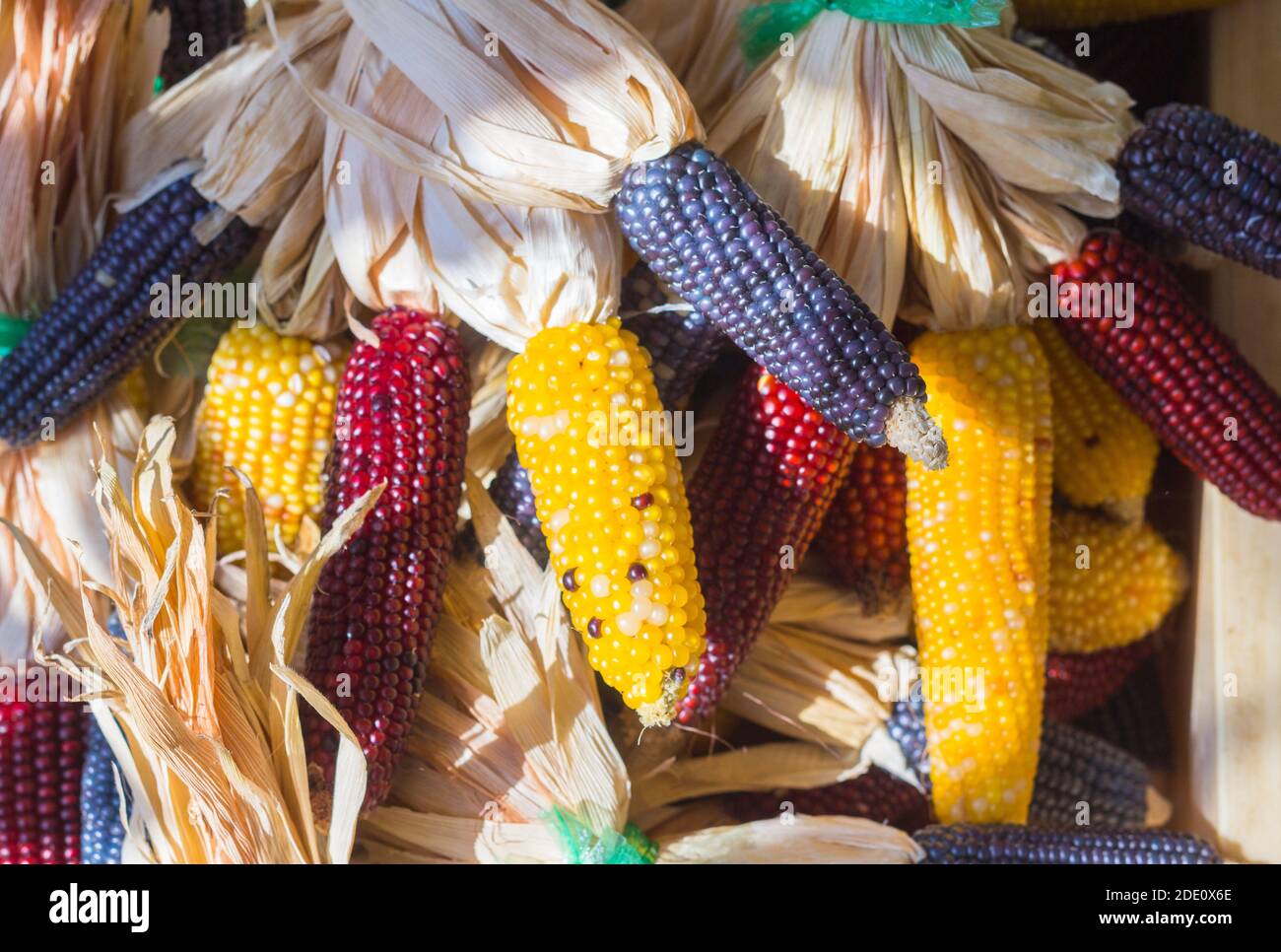 Different kinds of corn at a street side market in Takayama, Japan Stock Photo